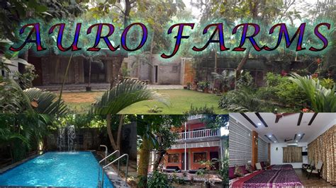 auro farms  Telephone: 1-604-856-6940 Fax: 1-604-856-8337