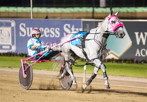 australian harness racing odds Click a price to add a bet