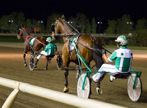 australian harness racing odds  Ynobe Dakota 6