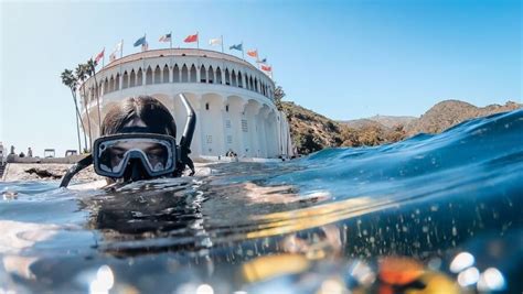 avalon catalina snorkeling  VIP Lounge available for private parties & groups