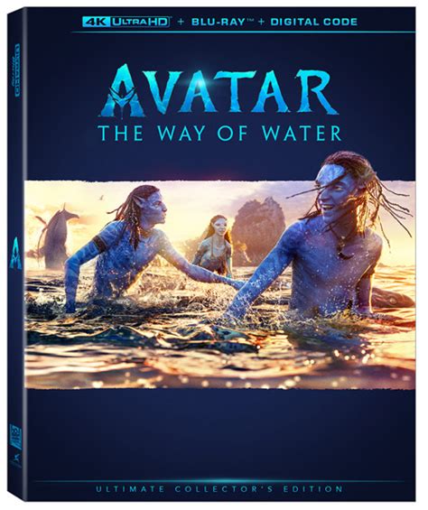 avatar the way of water torrent James Cameron helmed ‘Avatar: The Way of Water’ arrived in theatres today and is garnering a lot of love from reviews