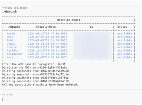 aws cli deregister ami  AWS CLI 2