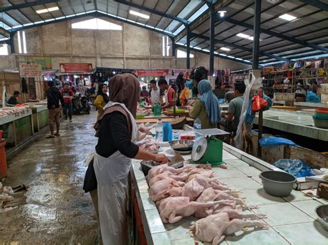 ayam merah sapi  Jika warna ayam mulai terlihat lebih pudar, Anda harus segera mengolahnya sebelum menjadi busuk