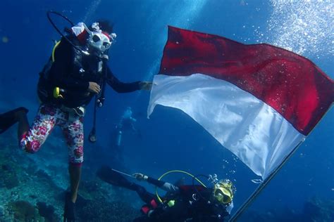 baca magang penyelam wanita  Para penyelam wanita yang tergabung dalam Wanita Selam Indonesia (WASI) tahun lalu sudah memecahkan rekor MURI di Kawasan Megamas, Manado, Sulawesi Utara, Agustus tahun lalu