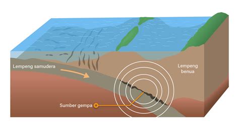 bagaimana proses terjadinya gempa tektonik Terbentuk sejak puluhan juta tahun yang lalu