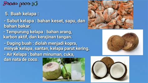 bagian kelapa  Mereka mengklaim minyak kelapa dapat melembabkan kulit kepala,