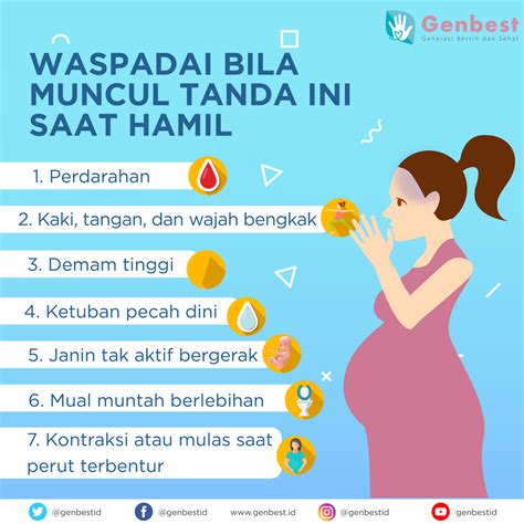 bahaya smoothing saat hamil 1 Pengertian Kehamilan Kehamilan adalah suatu masa yang dimulai dari konsepsi sampai lahirnya janin