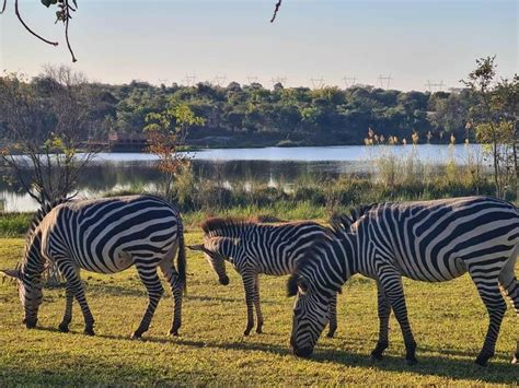 baluba game resort photos ; Indoor and outdoor playgrounds for children: the Forest of Legends and Baluba Indoor Play World