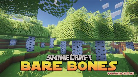 bare bones texture pack 1.20 