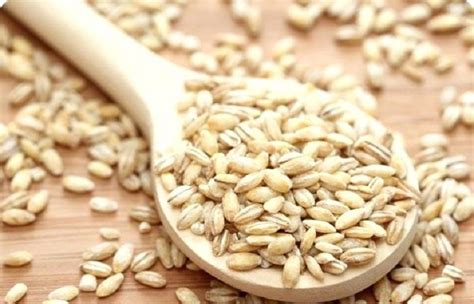 barley flakes in urdu meaning  Hulled barley is a whole grain, as the bran, endosperm, and germ remain intact