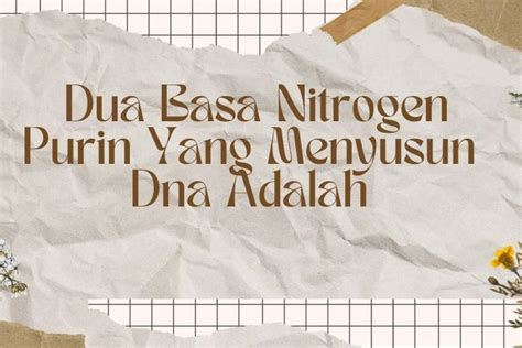 basa nitrogen yang termasuk purin adalah  Purin banyak ditemukan dalam sel semua makhluk hidup, termasuk manusia, hewan, dan tumbuhan