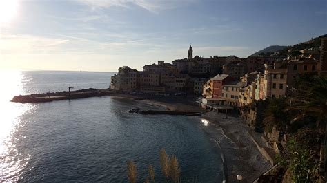 basko bogliasco  Las Becas Bogliasco se conceden a personas con talento sin distinción de nacionalidad, edad, raza, sexo o religión, involucradas en proyectos que traten cualquier área de las siguientes disciplinas: En las disciplinas artísticas, el Centro de Estudios acepta candidatos/as que realicen trabajos