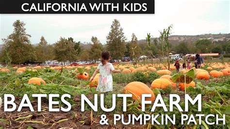 bates nut farm weather  Bates Nut Farm – Valley Center