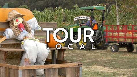 bates nut farm weather  Pumpkins and jack-o-lanterns now symbolize fall, Halloween and Thanksgiving