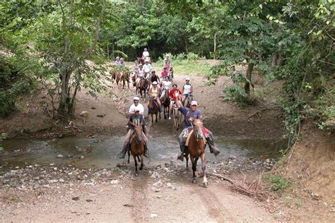 bayahibe holidays  Book the best travel package deals from HM Hotels: Mallorca, Caribbean, Palma