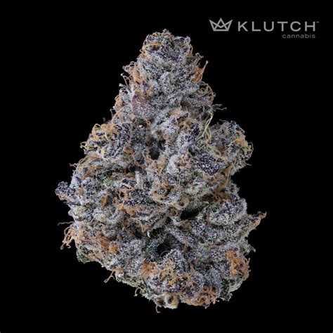 bazookas strain klutch  No taste, no smell, no flavor, no bag appeal