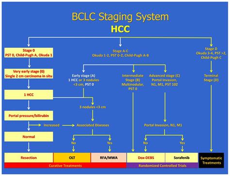 bclc plateau learning  Purpose To evaluate enhancing tumor volume (ETV) and enhancing tumor burden (ETB) as new criteria within the Barcelona Clinic Liver Cancer