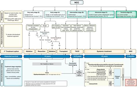 bclc50  The objective of the current study was to define the outcomes and recurrence patterns after resection within and beyond the current