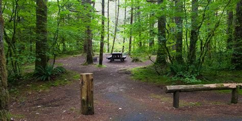 beckler river campground  Chatter Creek Group Site