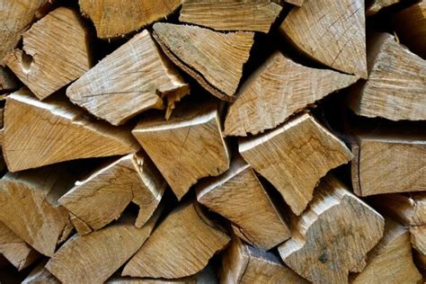 beech logs for burning essex  Free Nationwide Delivery