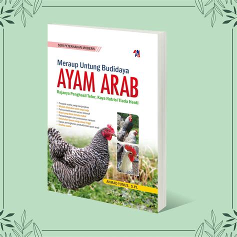 beli ayam arab  3