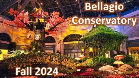 bellagio hammond  Send an email Website 