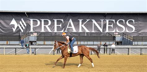 belmont stakes  for pre-race and post-race coverage as well as the race itself