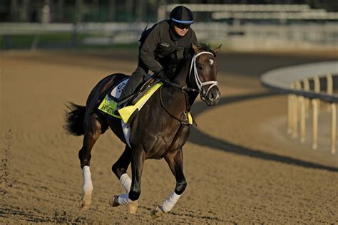 belmont stakes entrants  Thoroughbred horse racing in Elmont, NY