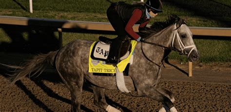 belmont stakes finish order 2023 The Belmont turned into such a two-horse race on Saturday that third-place Rombauer was 11