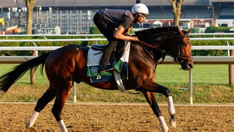 belmont stakes superfecta  He's also hit the Kentucky Oaks-Kentucky Derby double at Churchill Downs 10 times in the last 14 years, including this year's massive upset with Rich Strike! That means he held a ticket with the winners of both the Oaks and Derby all but four times in his last 14 tries