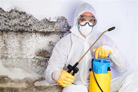 bemidji mold remediation Lack of Routine Cleaning: When a home is not regularly cleaned, dust, dirt, and organic materials can accumulate, giving mold spores a valuable food source