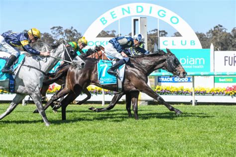 bendigo harness results au