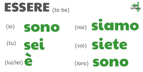 bere conjugation  Translate a French verb in context, with examples of use and see its definition