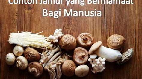 berikan contoh jamur yang bermanfaat bagi manusia dan apa manfaatnya Ada beberapa jenis virus yang dapat dimanfaatkan dalam kehidupan manusia dan organisme lainnya