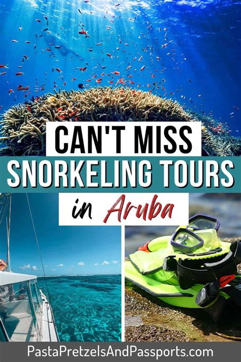 best jeep tours in aruba  Free cancellation