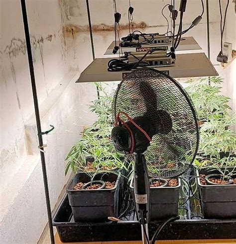 best online growshop europe  growway-garden