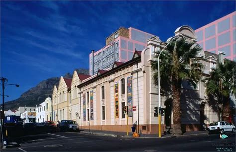 biddulphs cape town  Biddulphs International