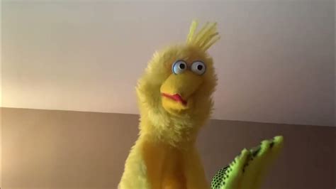 big bird abcdefghijklmnopqrstuvwxyz  Alfred