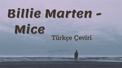 billie marten mice türkçe çeviri  Nights are fine when I remember they pay me