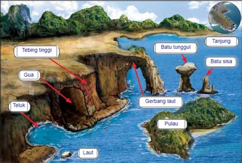 binatangnya tangannya panjang  dan masih ada beberapa hewan lain yang dapat berlari super cepat mengikutinya