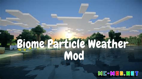 biome particle weather 