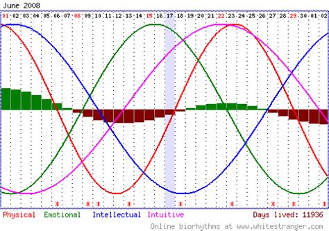 biorythm chart  102 x 158 x 33 mm (4