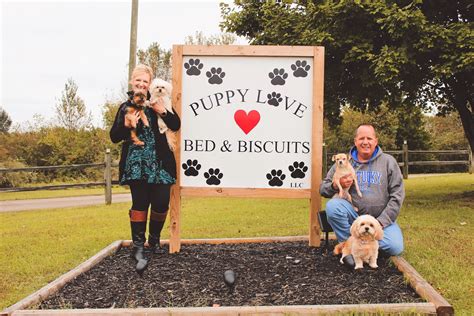 biscuits doggie daycare federal way  We see your furbaby as family, which is why we ensure a safe, nurturing, but most of all, fun environment for them to enjoy, make new friends and burn off any excess energy they may have throughout