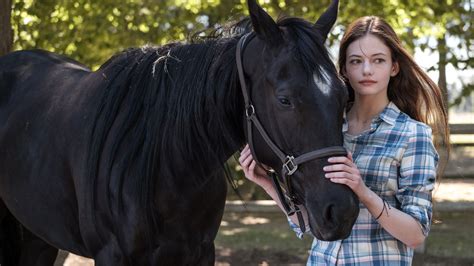 black beauty (2020) soap2day Shelterbelts provide many benefits to farms, including: protection of crops, livestock and the home