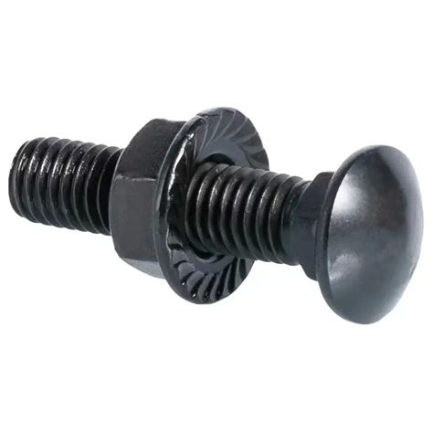 black coach bolts  M12 (1/2") x 24mm x 1