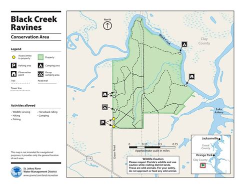 black creek ravines conservation area  Arthropods of Black Creek Ravines