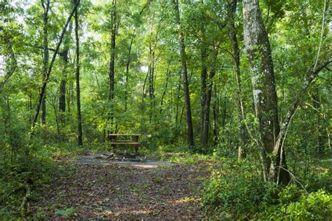 black creek ravines conservation area  The trail winds through woodland and