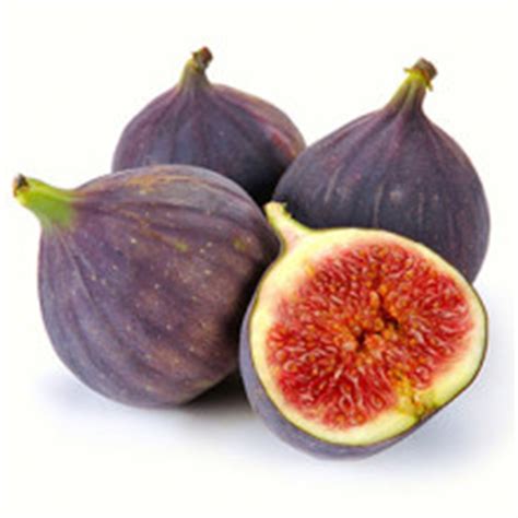 black genoa fig bunnings  Often produces a light first crop and then heavier crops thereafter