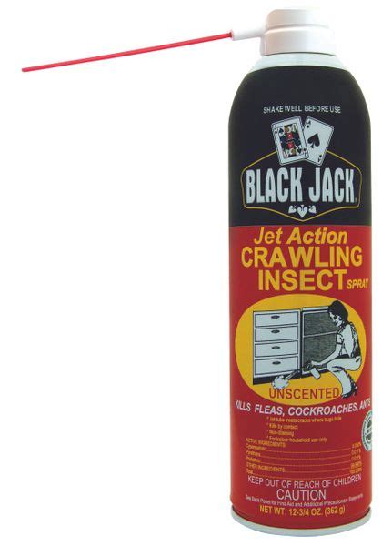 blackjack fly and mosquito spray  How to prevent Black flies from invading