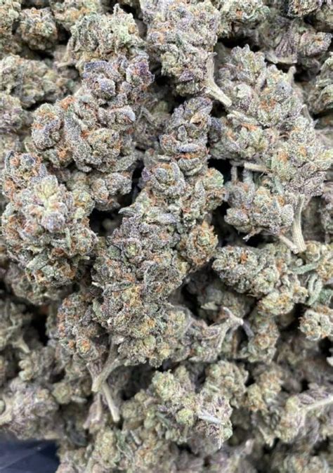 blackjack strains Super Jack, also known as "Super Jack Haze" to many members of the cannabis community, is a 100% pure sativa hybrid strain that is an insanely potent cross between the hugely popular Super Silver Haze X Jack Herer strains